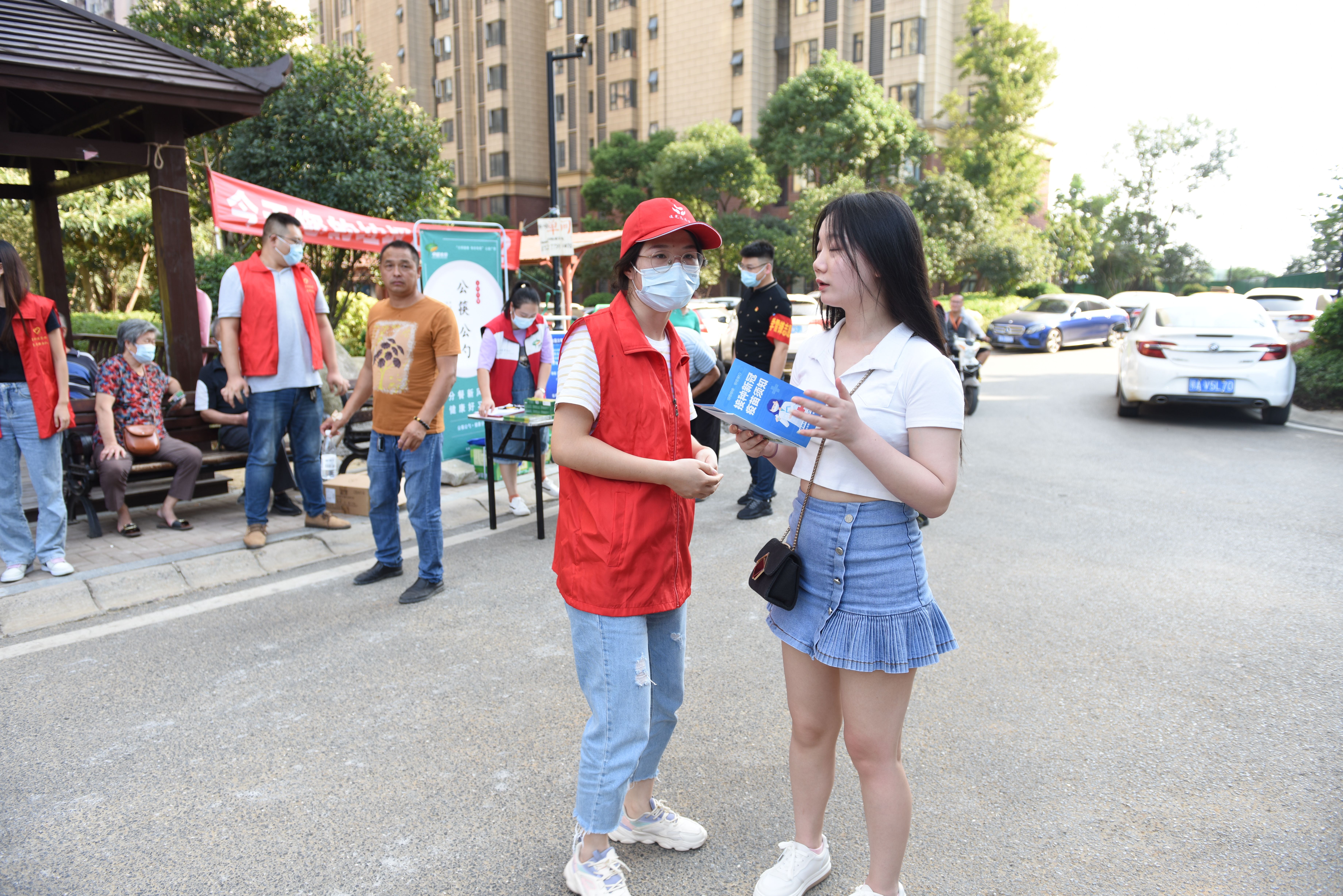 DSC_6206.jpg DSC_6206.jpg